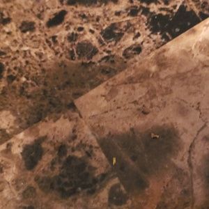 Meet your Posher, Gabrielle